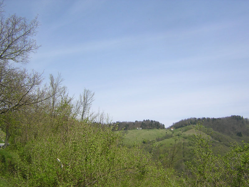 DSCN5622