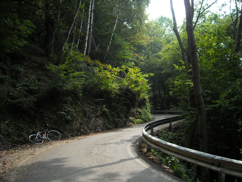 DSCN0084