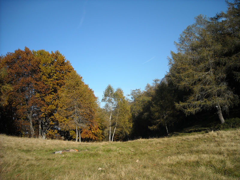 DSCN0158