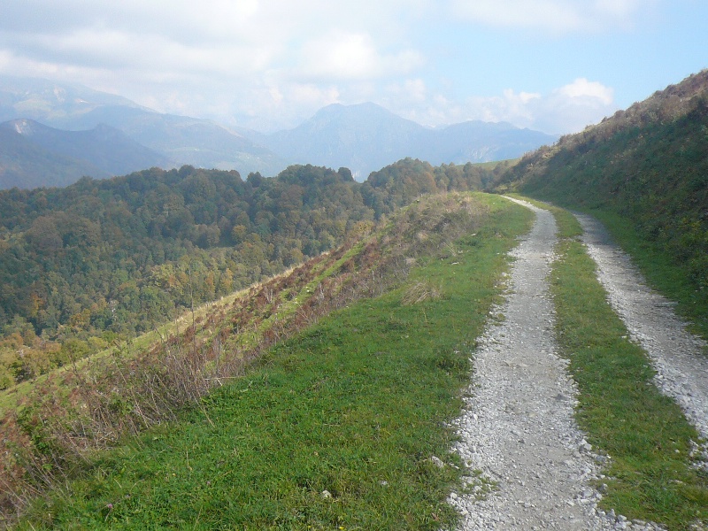 02_DSCN0002