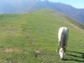 12_DSCN0011