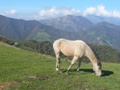 13_DSCN0012