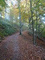 14_DSCN0013