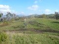 16_DSCN0015