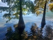 15_iseo
